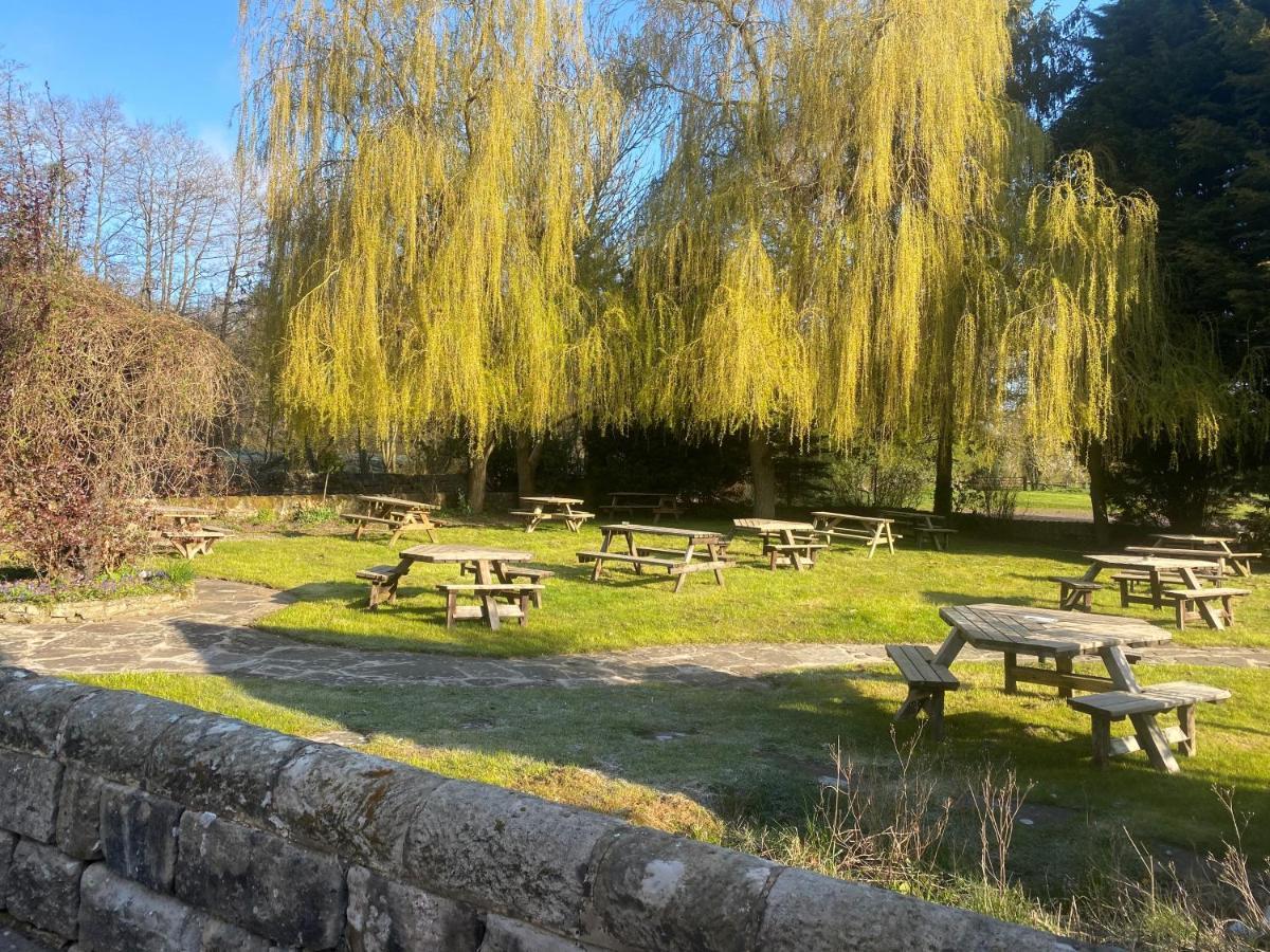 アッシュボーン The Royal Oak Bed & Breakfast エクステリア 写真